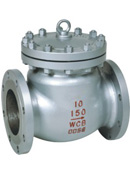 Check Valves -WZIPIE