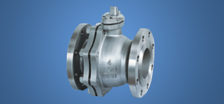 2PC Floating Ball Valve